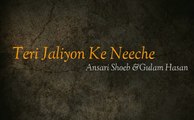 Teri Jaaliyon Ke Neeche -Ansari shoeb & Gulamhasan(Shamsi Brother)