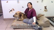 Dr Kim Bowers of All Pets Veterinary Hospital Recommendation