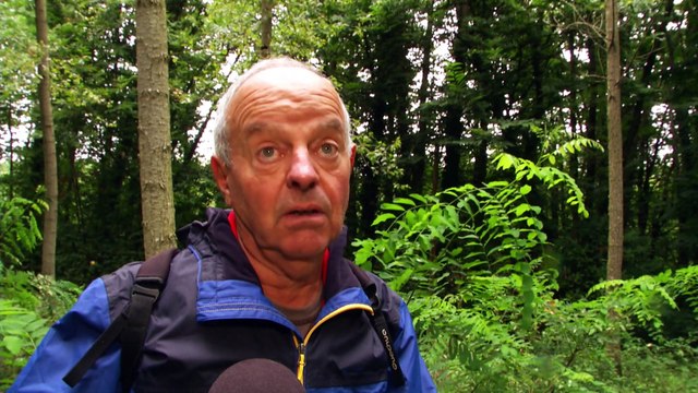 JT Région - JT Région