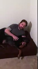 Big Barker Dog Bed Review: Mike & Midas