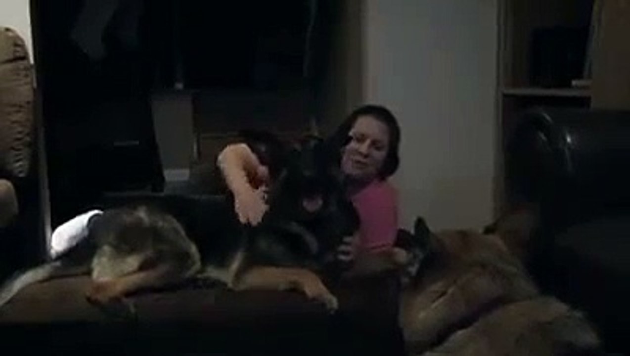 Big Barker Dog Bed Review: Janine & Capone