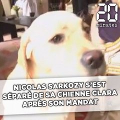 Nico­las Sarkozy n'a pas gardé sa chienne Clara après son départ de l'Elysée