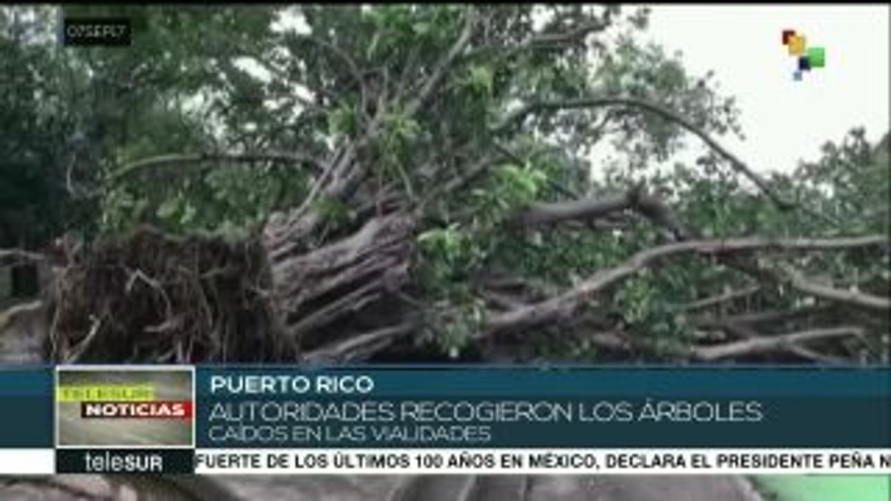 teleSUR noticias. Alerta de tsunami en 8 países de América Latina