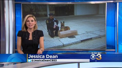 CBS Channel 3 - "Big Barker Donates 42 Beds to Philadelphia Police K9 Unit"