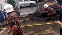 Les pompiers malaisiens font face à un gigantesque crocodile. Impressionnant