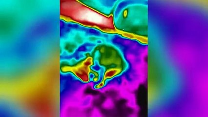 Flir ONE - Dog Pooping with Thermal Camera