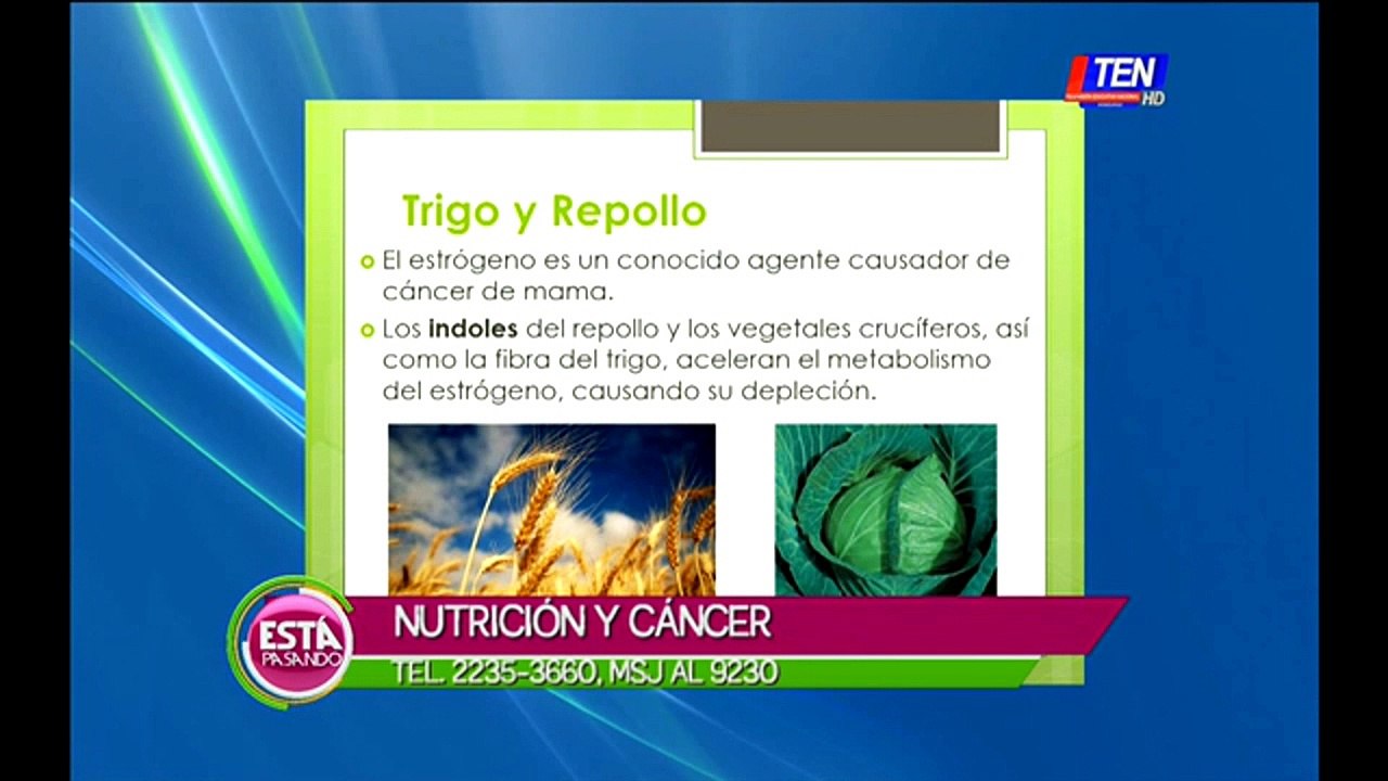 Alimentos que previenen el cáncer
