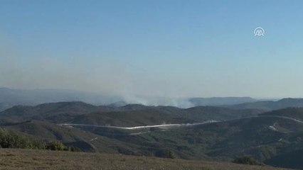 Suriye Sınırında Orman Yangını