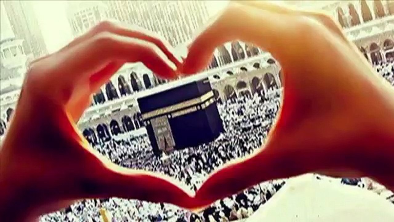 معجزات الله في خلقه سبحان الله لن تصدق ما سترى والله سوف تذهل