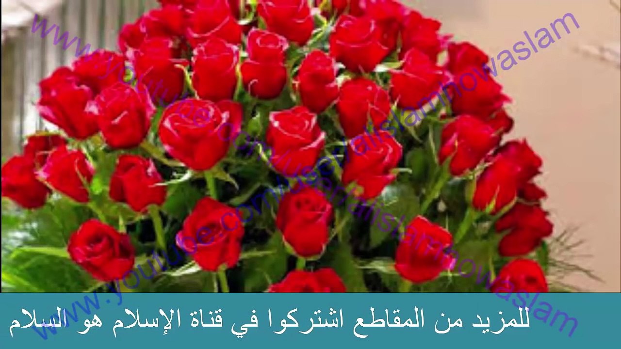هل ينتفع الميت من وضع الزهور فوق قبره ؟