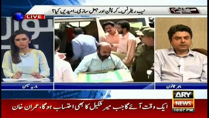 NAB had no other option but to file reference, says Farogh Nasim