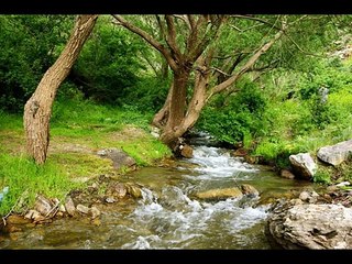 حه سه ن زيره ك / ئه سمه ر یارم جوانە / ئيزگە ی بە غدا