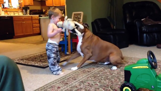 The Funniest Cutest Pets & Zoo Animal Home Video Bloopers of 2016 | Funny Pet Videos