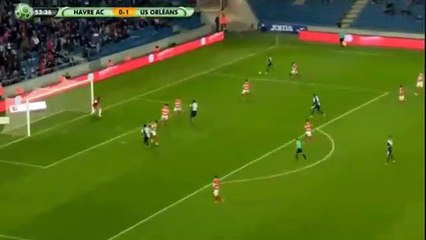 Steeve Furtado Own Goal HD - Le Havre 1-1 Orléans 08.09.2017