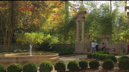 ATLANTA LA OCTAVA CIUDAD CON MAS INDOCUMENTADOS DE EEUU