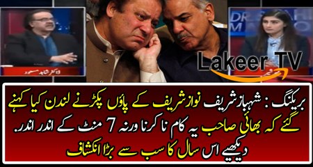 Shahbaz Sharif Gave Red Signal to Nawaz Sharif on His Foolish Strategies