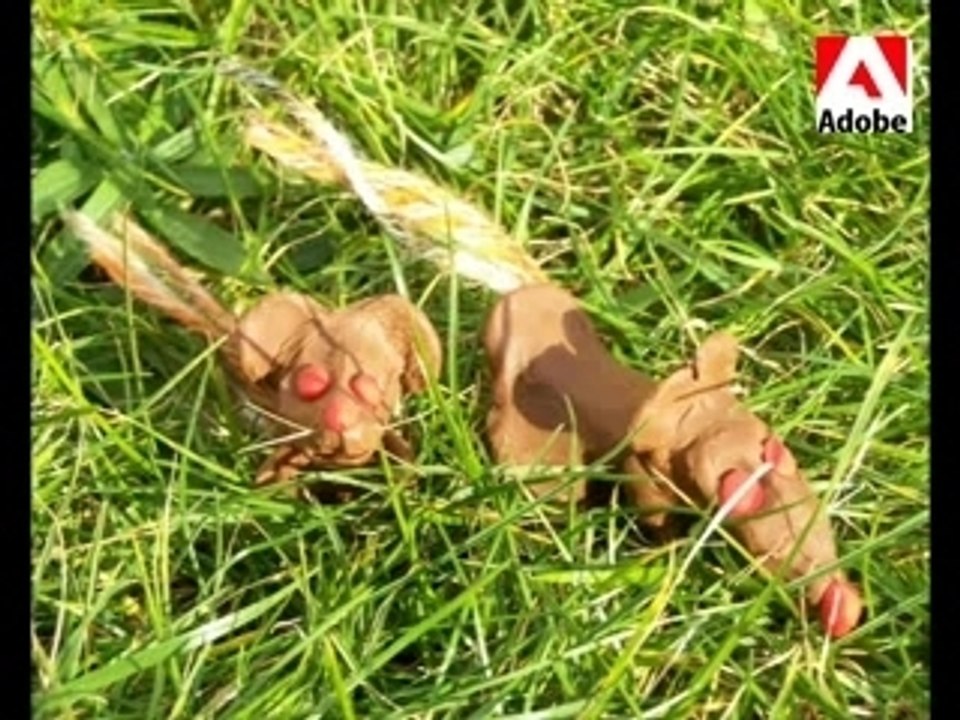 Souris