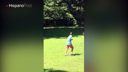 Vea al ciervo que se cree perro y quiere jugar con los humanos