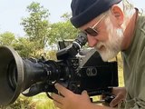 Africa Lions: Documentary on the Lions of South Africas Kruger National Park