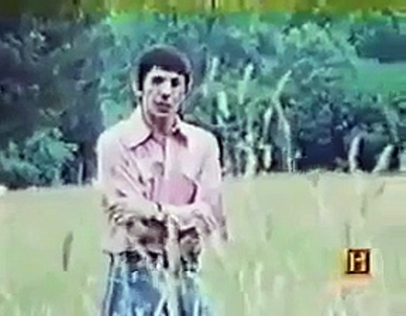 ⁣Documentary Ant Ants Documentary Channel Giant Deadly Killer Ants Shocking Scary