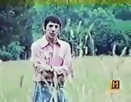 Documentary Ant Ants Documentary Channel Giant Deadly Killer Ants Shocking Scary