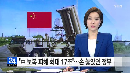 "中 보복 피해 최대 17조"...손 놓았던 정부 / YTN (Yes! Top News)