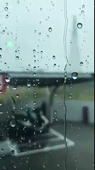 這雷也劈的太準了吧