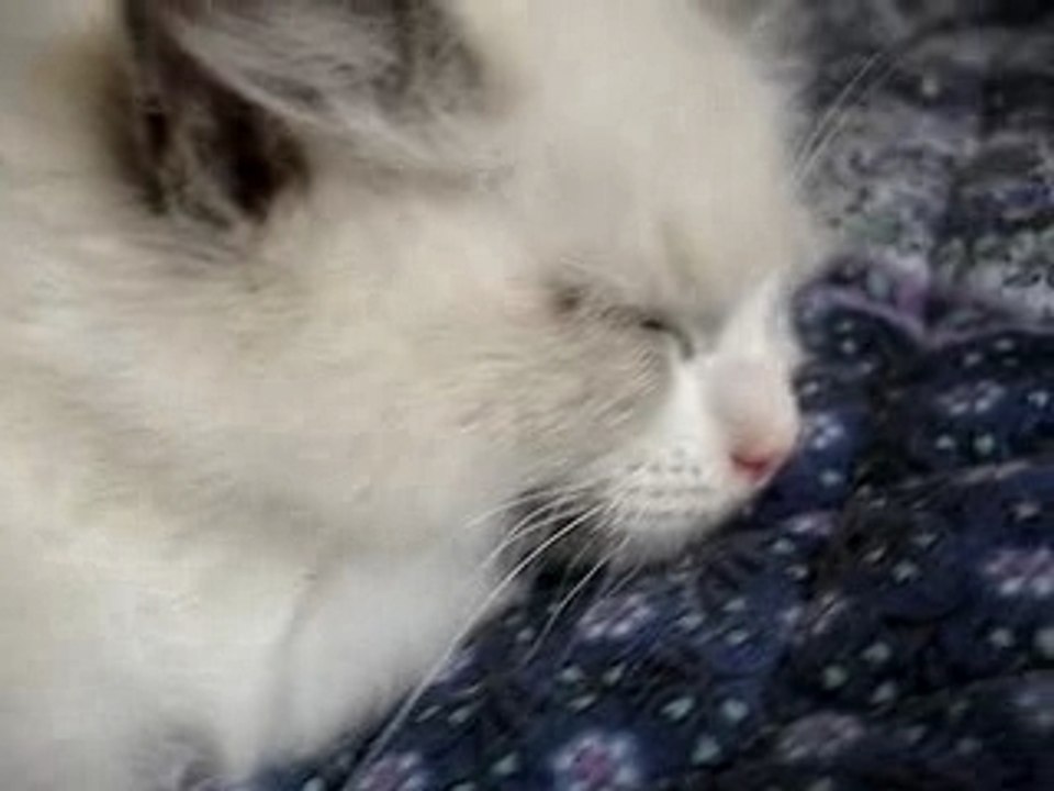 Sieste groupée 1m