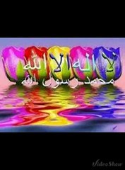 علوى يا طير على المدينه توديني و اسكن جنبك يا نبي