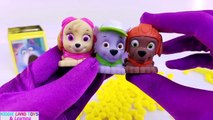 Secret Life of Pets Custom Cubeez Blind Box Play-Doh Toy Surprises Pretend Play Learn Colors Video!
