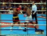 Evander Holyfield vs Ray Mercer (20-05-1995) Full Fight