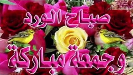 صباح الخير يا وطنا (2)