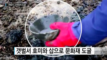 갯벌서 호미로 고려청자 캔 전문 도굴꾼 덜미 / YTN (Yes! Top News)