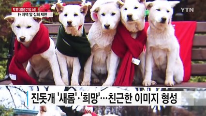 박근혜 전 대통령의 진돗개는 잘 짜진 각본이었다 / YTN (Yes! Top News)