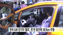 '국내 업체만의 잔치',  제주 국제 전기차 엑스포 / YTN (Yes! Top News)