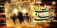 علي يا علي ~ ١٨ ذو الحجة عيد الغدير عيد الولاية عيد الله الاكبر 107 views