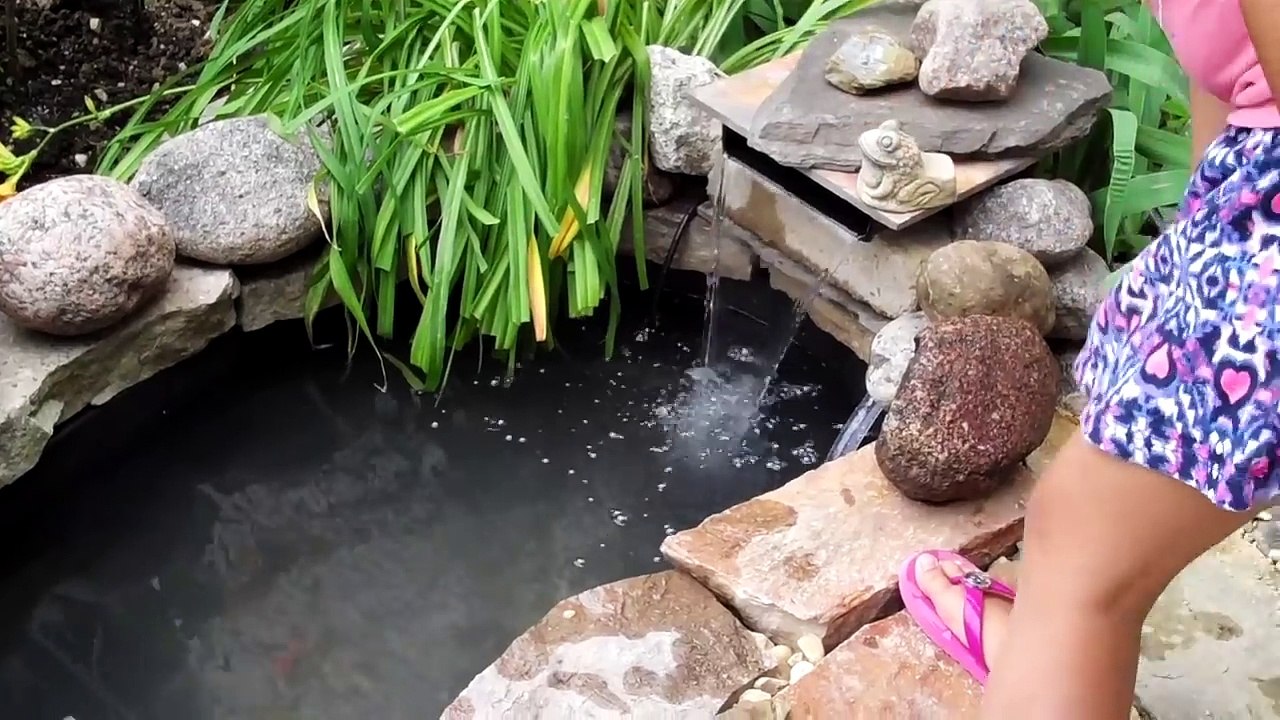 Small Backyard Garden Koi & Goldfish Pond - Setup