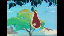 Tom and Jerry 44