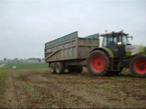 Ensilage de Maïs séquence N°5 Tony