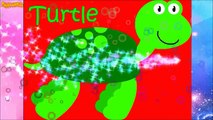 Aprender Mar animales agua animales nombres y sonidos televisión para Niños