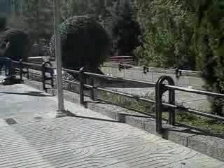 Video carlos y alen ZR!!