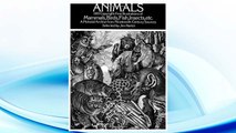 Download PDF Animals: 1,419 Copyright-Free Illustrations of Mammals, Birds, Fish, Insects, etc (Dover Pictorial Archive) FREE