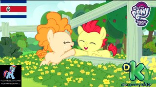 My Little Pony La Magia de la Amistad. Temporada 7 Ep 156 '' La Pareja Perfecta' ''  Español Latino (HD).