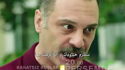 طيور بلا أجنحة الحلقة 13