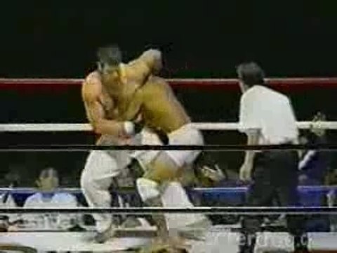 Martial Arts - Rickson Gracie - Jiu-Jitsu In Action