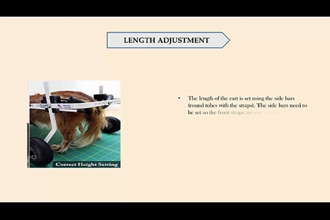 Tips for Pet Dog Wheelchair