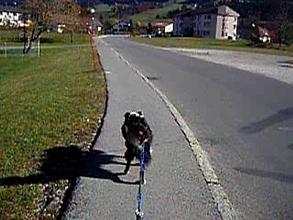 Widee kart vidéo depuis maison 003