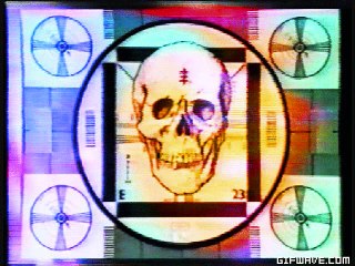 LETHAL GIFS volume #6