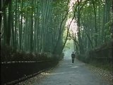Nagisa Oshima - Kyoto, My Mother's Place (1991) - bambusowy las