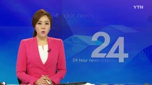 오소리가 큰 송아지 통째로 파묻는 장면 포착 / YTN (Yes! Top News)